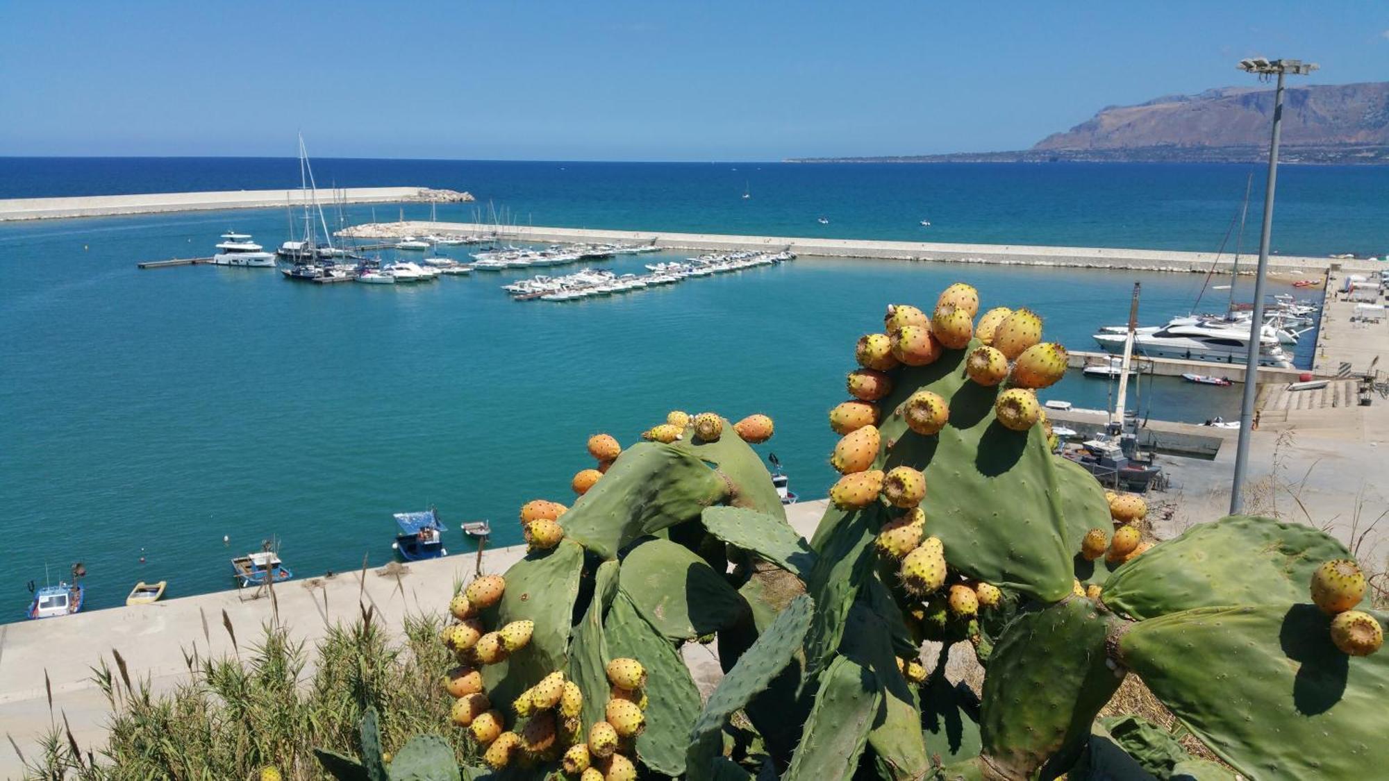 Loft In Balestrate Vicino Al Mare - Rental Beb Экстерьер фото